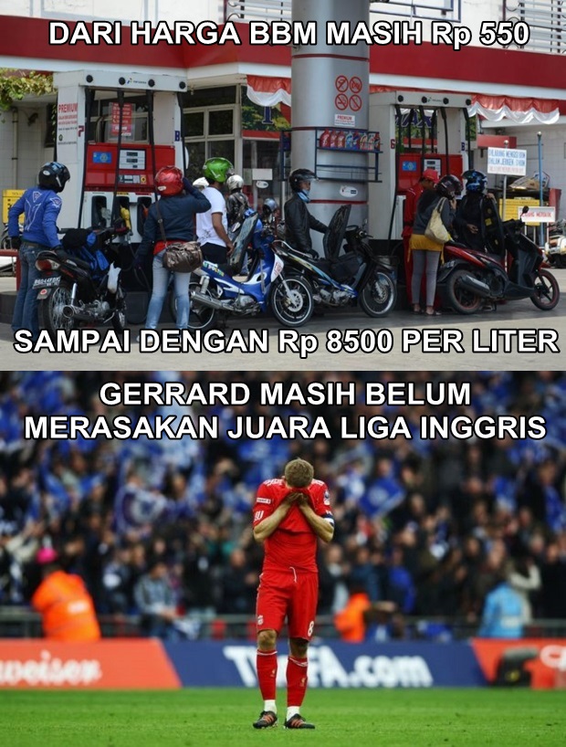 meme leicester city © 2016 brilio.net