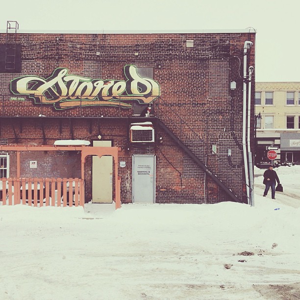 temukan anjing momo © 2016 brilio.net