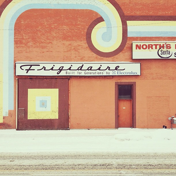 temukan anjing momo © 2016 brilio.net