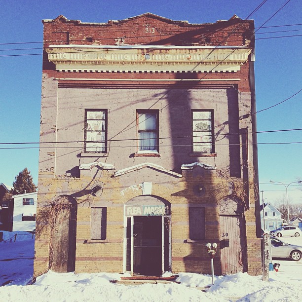 temukan anjing momo © 2016 brilio.net