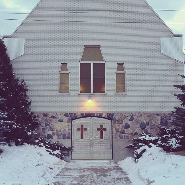 temukan anjing momo © 2016 brilio.net