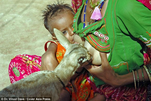 Nggak cuma bayinya, ibu-ibu di India ini juga menyusui bayi rusa