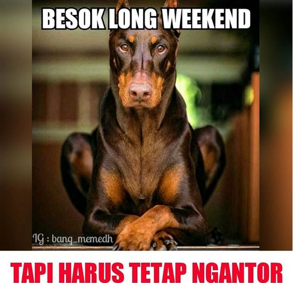 meme long weekend 1-16 © 2016 brilio.net meme long weekend 1-16 © 2016 brilio.net