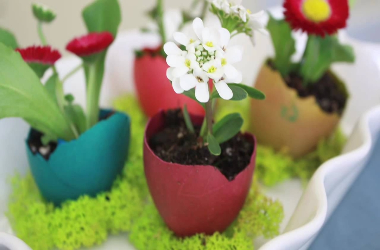 10 Kreasi kulit telur jadi pot ini lucu banget, bisa bikin sendiri lho