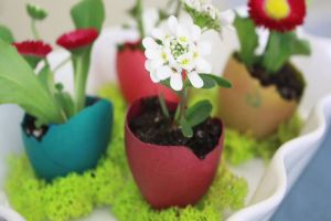 10 Kreasi kulit telur jadi pot ini lucu banget, bisa bikin sendiri lho