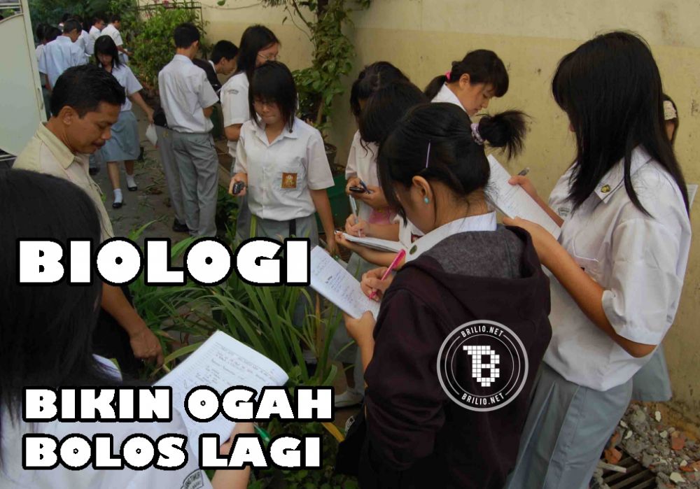 meme pelajaran © 2016 brilio.net