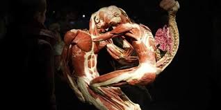 7 Museum ini unik lho, yuk kesana! © 2016 brilio.net