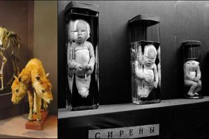 7 Museum ini unik banget, nomor 2 koleksinya bikin bulu kuduk berdiri!