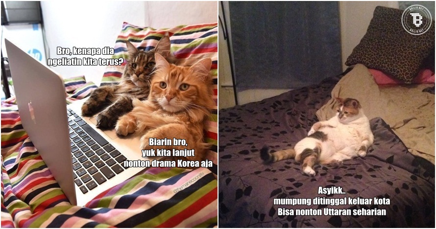 20  Kegiatan si pusy kalau sendirian di rumah, ada yang nonton Uttaran