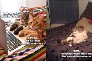 20  Kegiatan si pusy kalau sendirian di rumah, ada yang nonton Uttaran