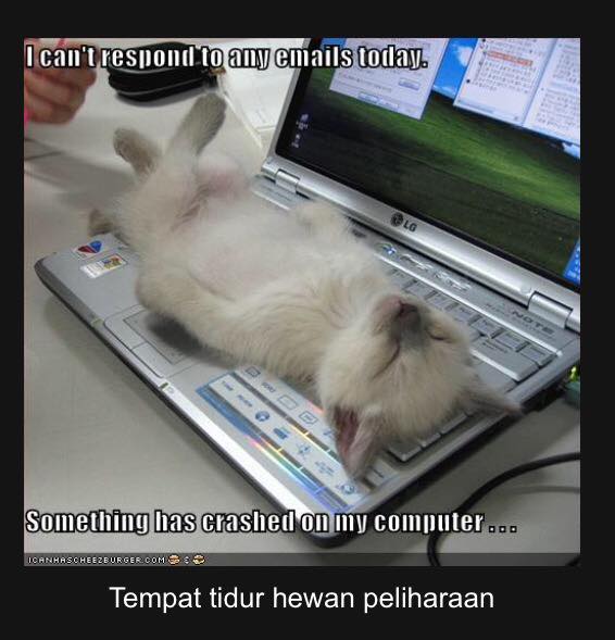 laptop antimainstream   © 2016 brilio.net