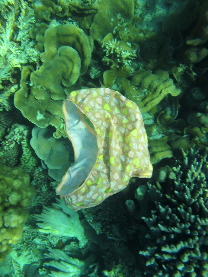 Barang pribadi wanita ini rusak keindahan terumbu karang Karimun Jawa