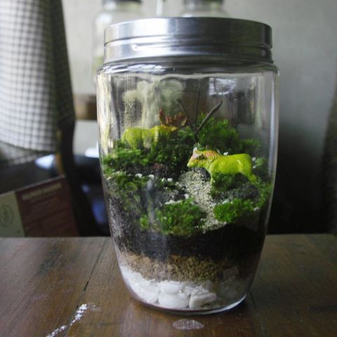 taman kecil © 2016 brilio.net