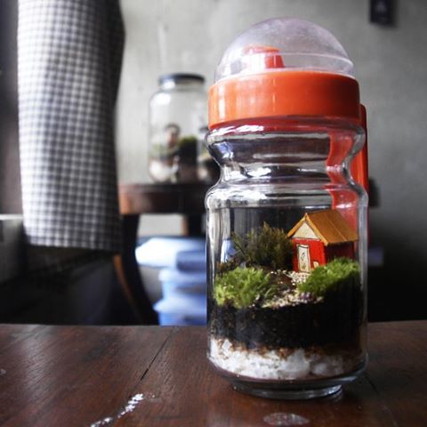 taman kecil © 2016 brilio.net