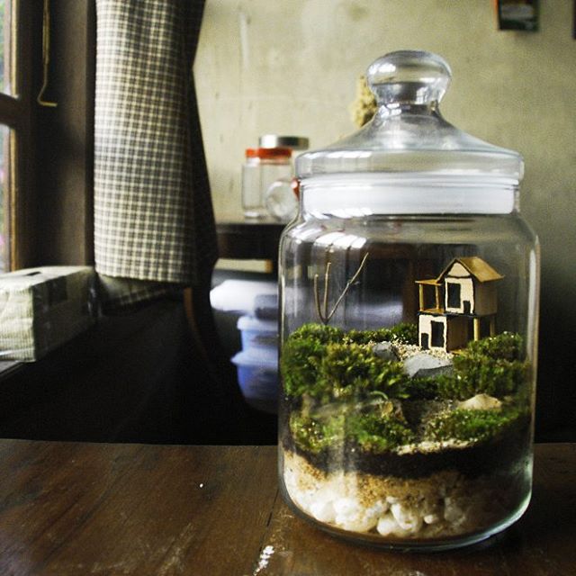 taman kecil © 2016 brilio.net