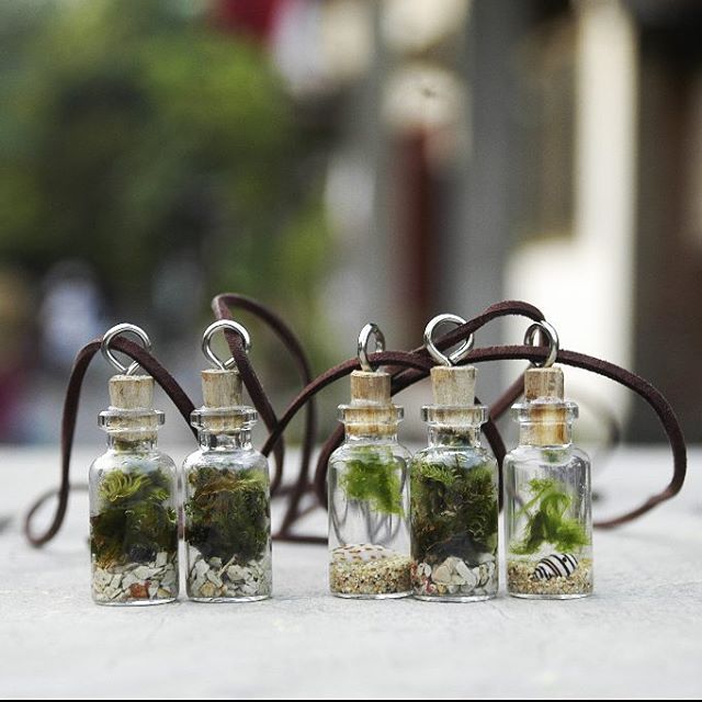 taman kecil © 2016 brilio.net