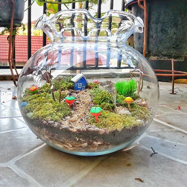 taman kecil © 2016 brilio.net