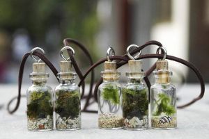 20 Taman dalam toples karya orang Jogja ini bakal bikin kagum banget!