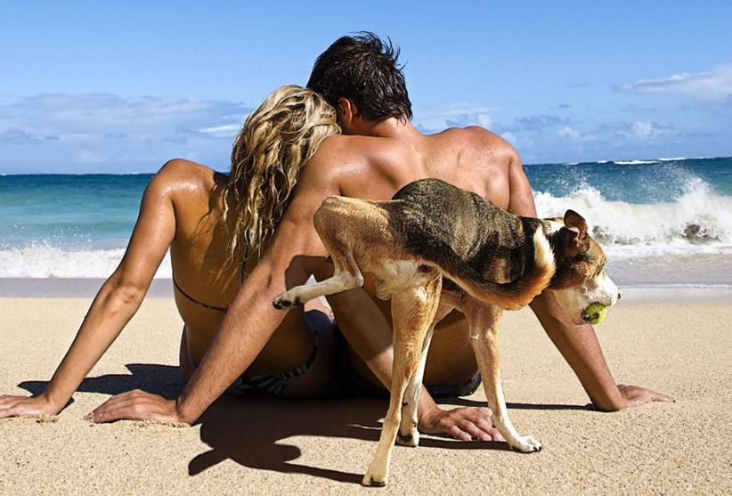 musim panas gagal  © 2016 brilio.net musim panas gagal  © 2016 brilio.net