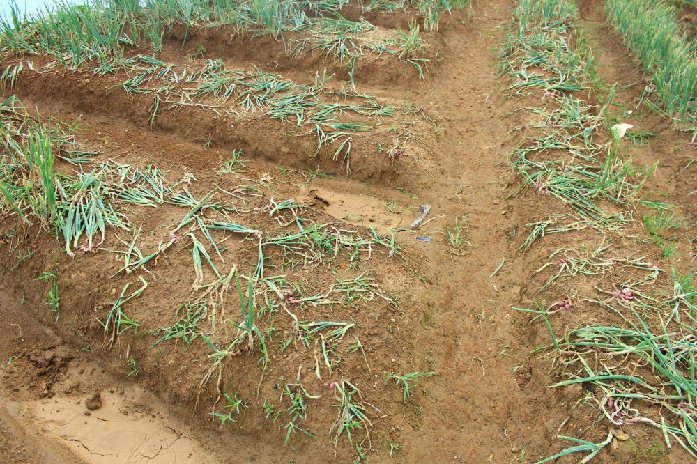 pengunjung alay © 2016 brilio.net