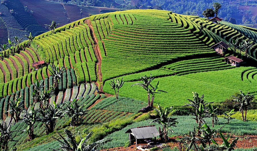 pengunjung alay © 2016 brilio.net