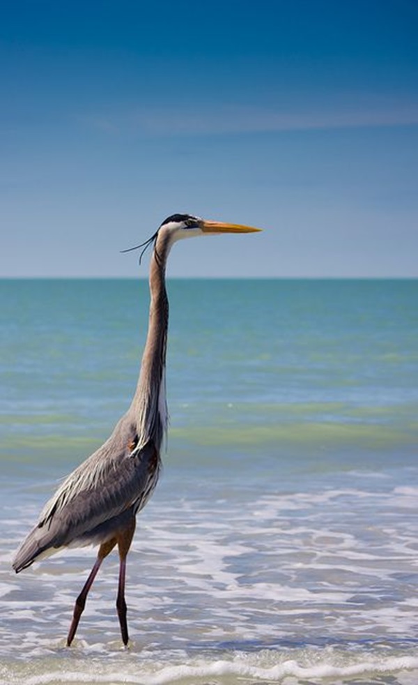 hewan berjemur © 2016 brilio.net hewan berjemur © 2016 brilio.net