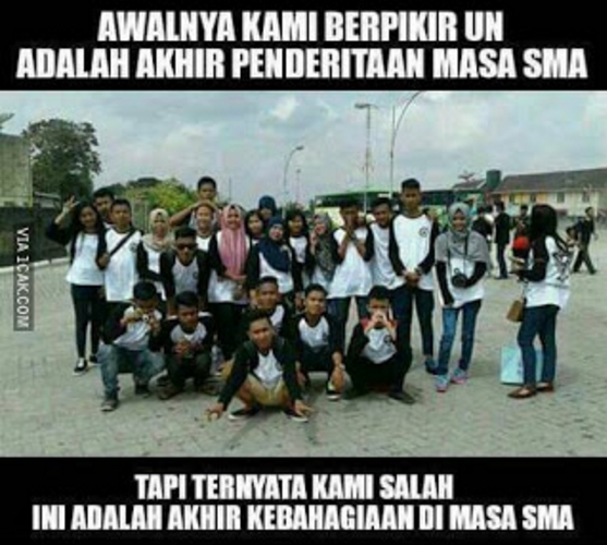 meme lulus  © 2016 brilio.net meme lulus  © 2016 brilio.net