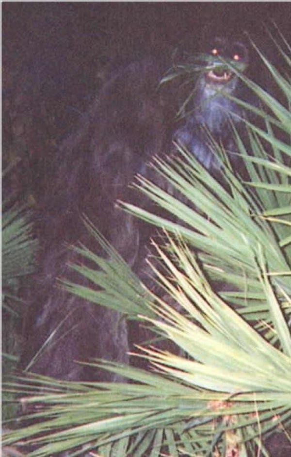 Foto serem legendaris © 2016 brilio.net