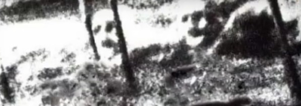 Foto serem legendaris © 2016 brilio.net