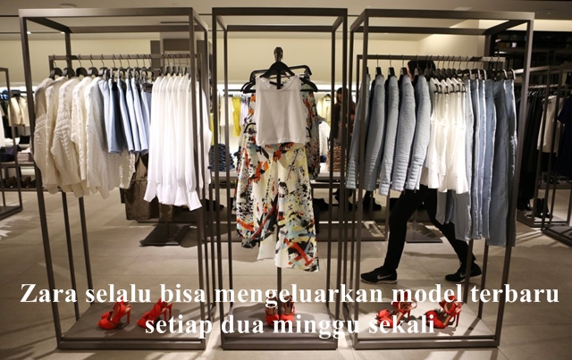 fakta zara © 2016 brilio.net fakta zara © 2016 brilio.net