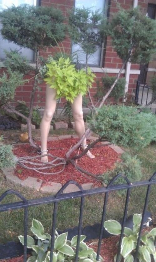 Aksi ekstrem © 2016 brilio.net Aksi ekstrem © 2016 brilio.net