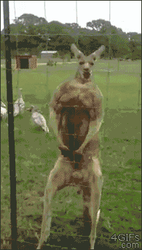 Aksi ekstrem © 2016 brilio.net Aksi ekstrem © 2016 brilio.net