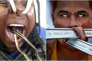 24 Foto ekstrem bikin kamu geleng-geleng nggak percaya, ada-ada saja! 