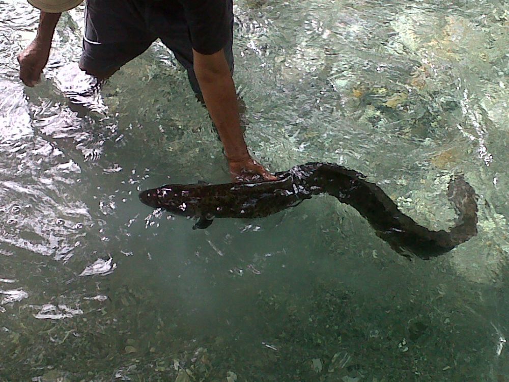 mitos dapat jodoh  © 2016 brilio.net mitos dapat jodoh  © 2016 brilio.net