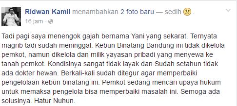 Ridwan Kamil ungkap kondisi Kebun Binatang Bandung, bikin miris! 