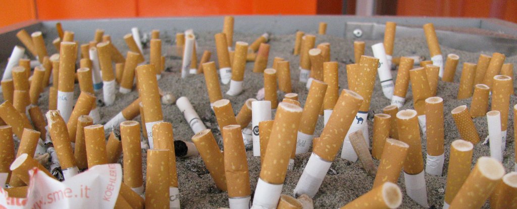 Puntung rokok ternyata bisa didaur ulang jadi plastik loh, keren! 