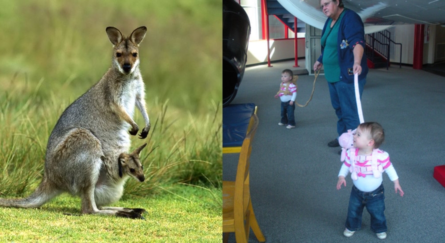 pengasuhan hewan  © 2016 brilio.net pengasuhan hewan  © 2016 brilio.net