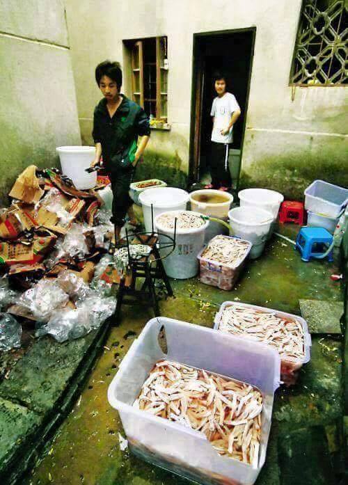 Makan Bahaya © 2016 brilio.net