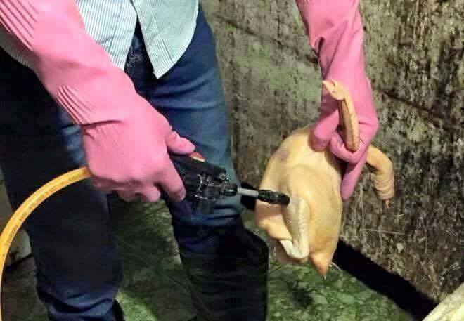 Makan Bahaya © 2016 brilio.net