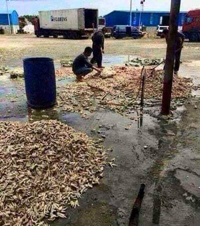 Makan Bahaya © 2016 brilio.net