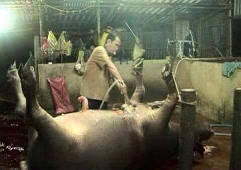 Makan Bahaya © 2016 brilio.net