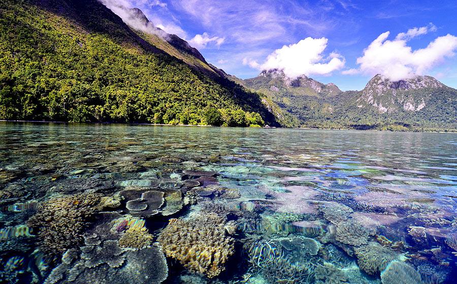 Teluk Saleman Maluku © 2016 brilio.net