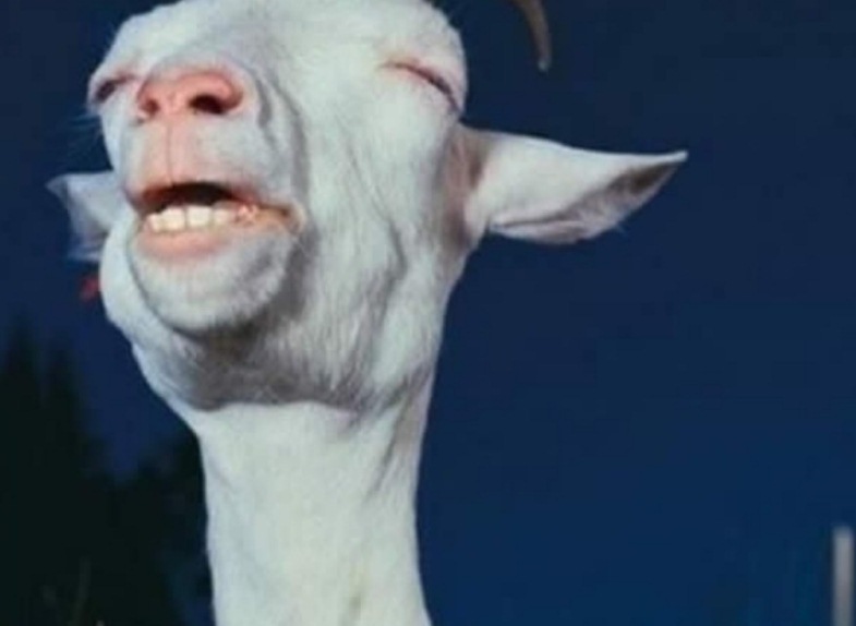 kondisi nikah © 2016 brilio.net kondisi nikah © 2016 brilio.net