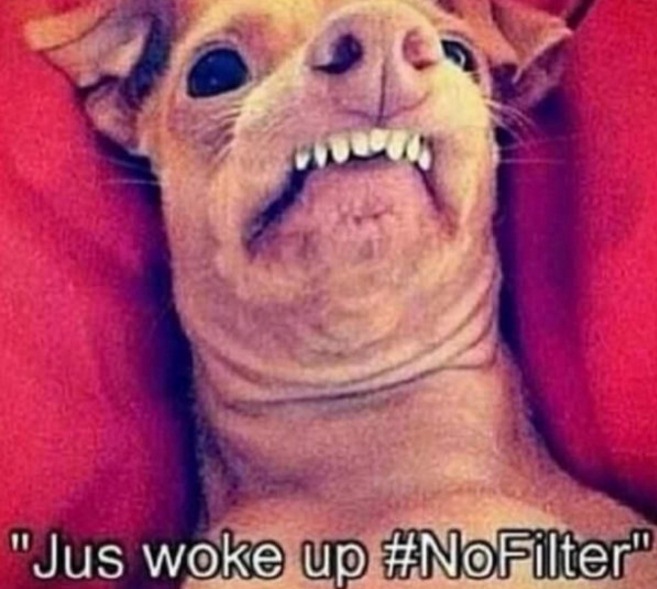 kondisi nikah © 2016 brilio.net kondisi nikah © 2016 brilio.net