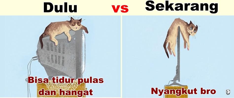 meme hewan lucu © 2016 brilio.net