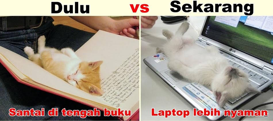 meme hewan lucu © 2016 brilio.net