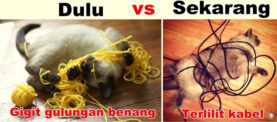 meme hewan lucu © 2016 brilio.net