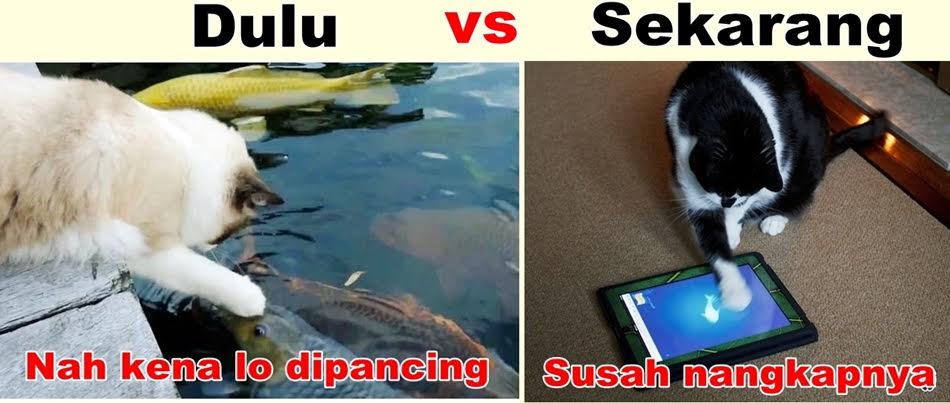 meme hewan lucu © 2016 brilio.net