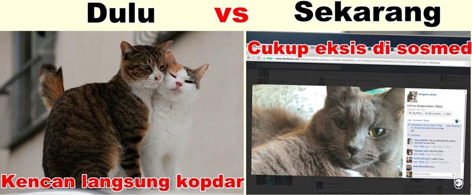 meme hewan lucu © 2016 brilio.net