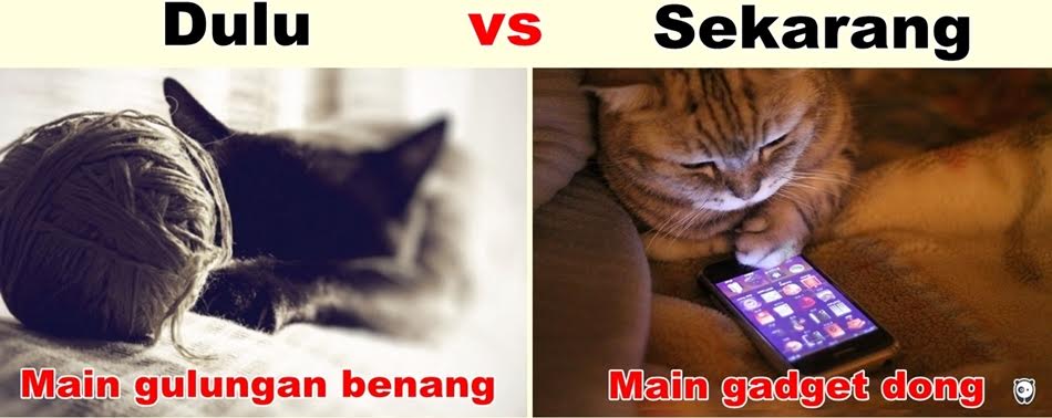 meme hewan lucu © 2016 brilio.net